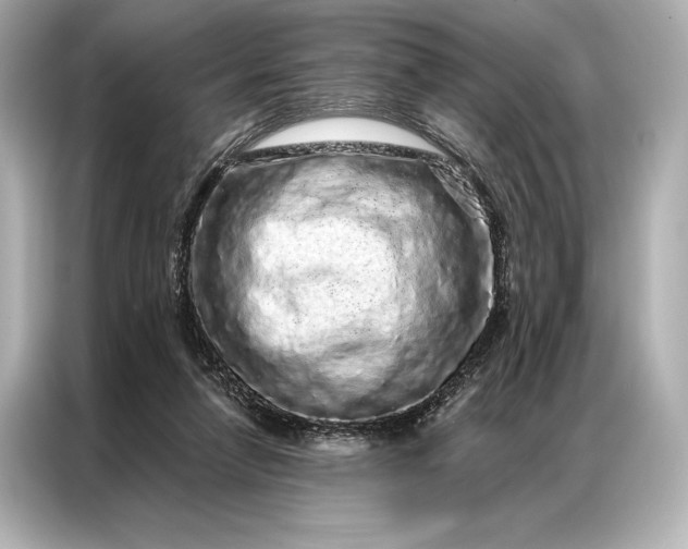 X0000086950258200704301223