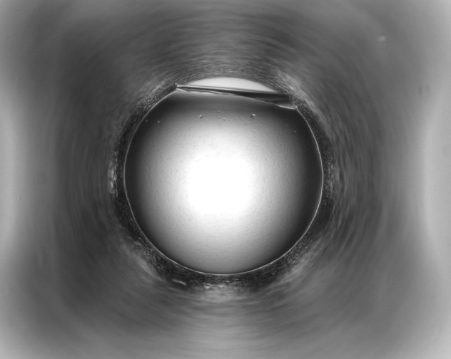 X0000086950259200704301223