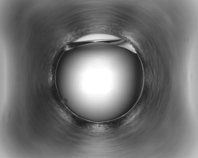 X0000086950261200704301223