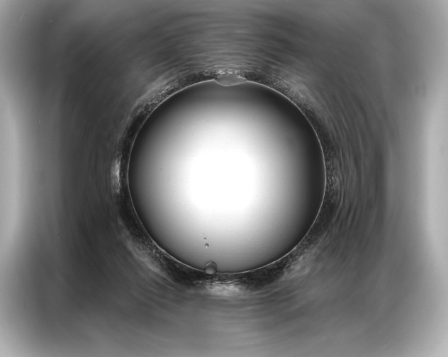 X0000086950262200704301223