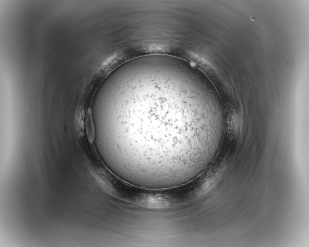 X0000086950264200704301223