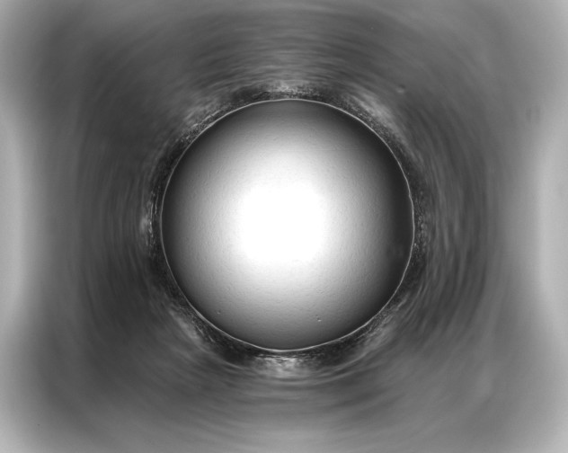 X0000086950265200704301223