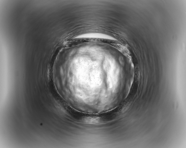 X0000086950266200704301223