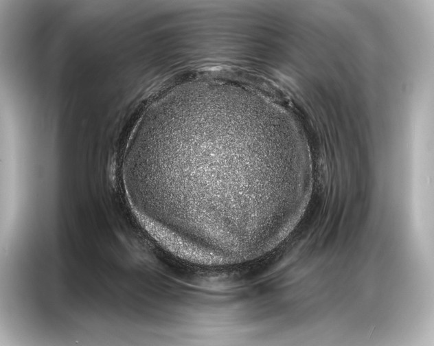 X0000086950267200704301223