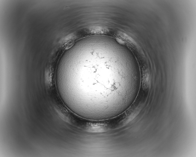 X0000086950268200704301223