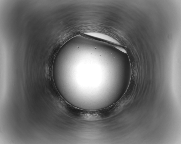 X0000086950270200704301223