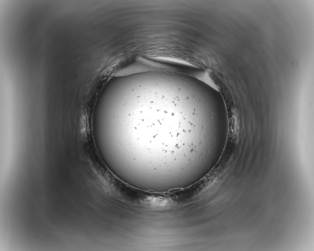 X0000086950272200704301223