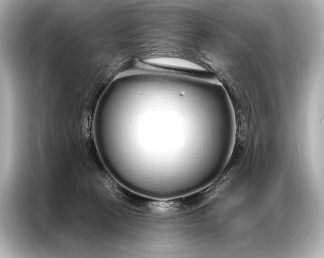 X0000086950273200704301223