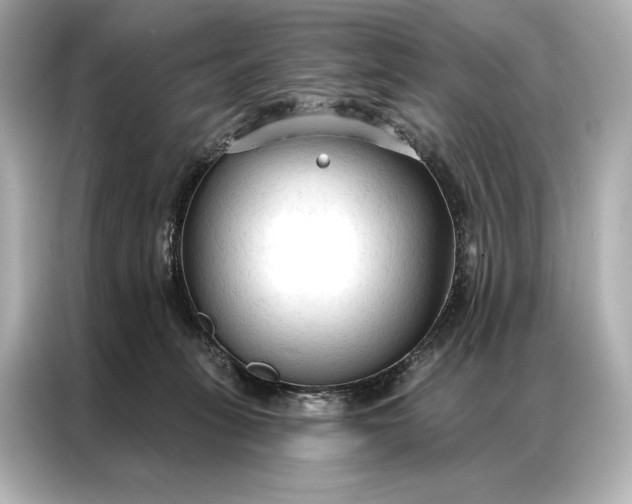 X0000086950275200704301223