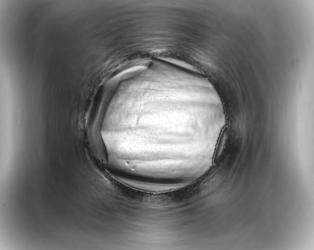 X0000086950277200704301224