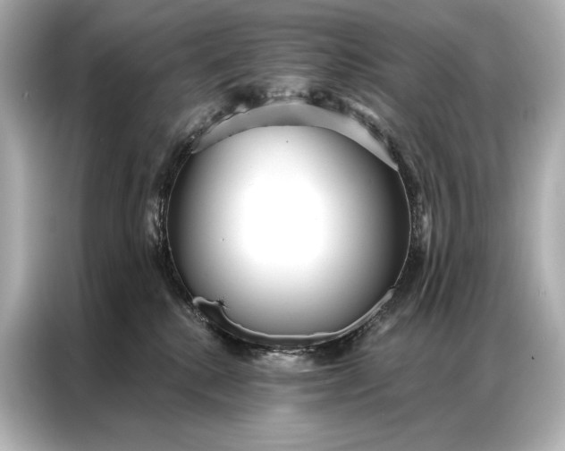 X0000086950280200704301224