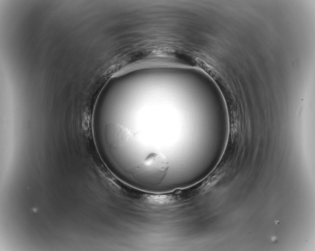 X0000086950281200704301224