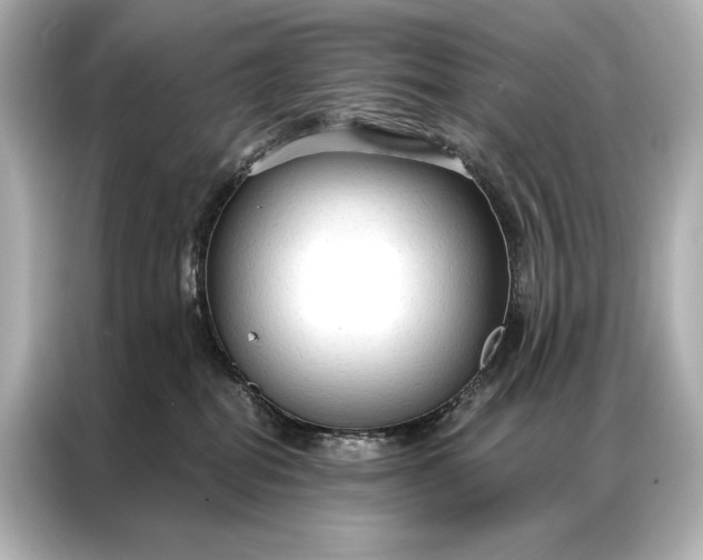 X0000086950282200704301224