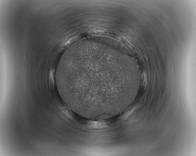 X0000086950286200704301224