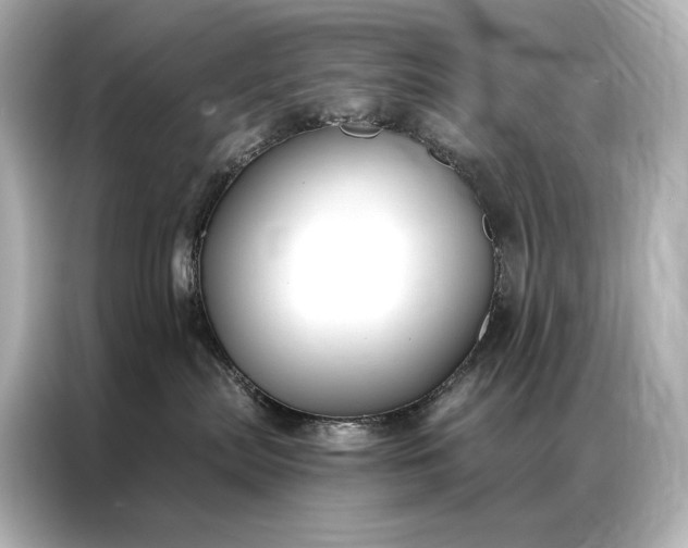 X0000086950287200704301224