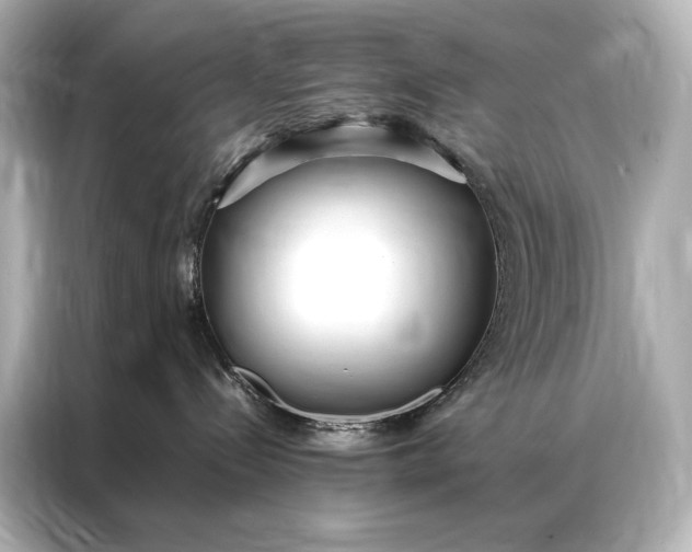 X0000086950288200704301224