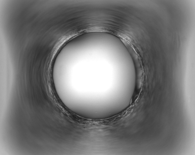 X0000086950289200704301223