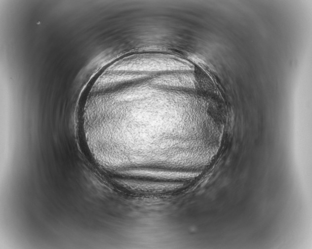 X0000086950290200704301223