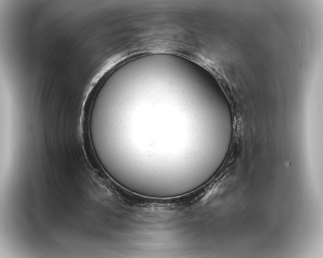 X0000086950292200704301223