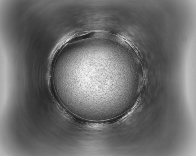 X0000086950293200704301223