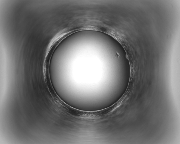 X0000086950294200704301223