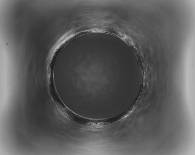 X0000086950295200704301223