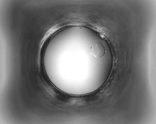 X0000086950296200704301223