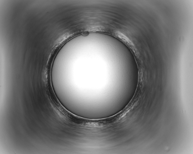 X0000086950298200704301223