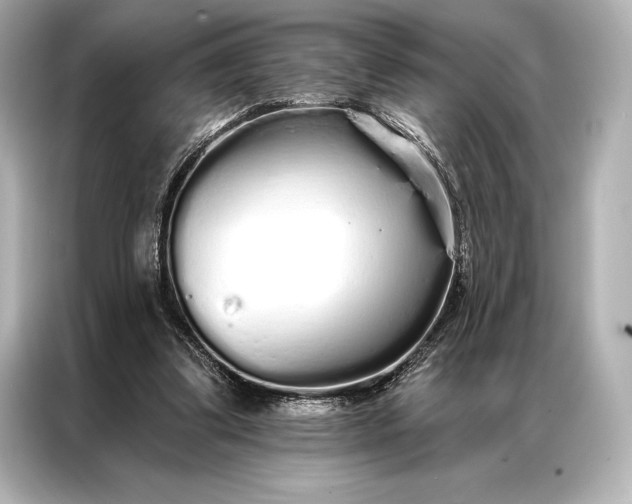 X0000086950299200704301223