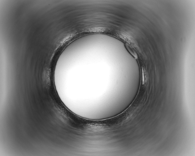 X0000086950300200704301223