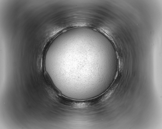 X0000086950301200704301223