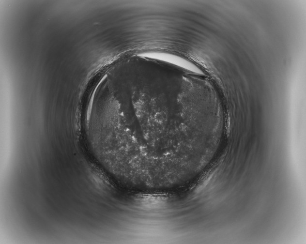 X0000086950303200704301223