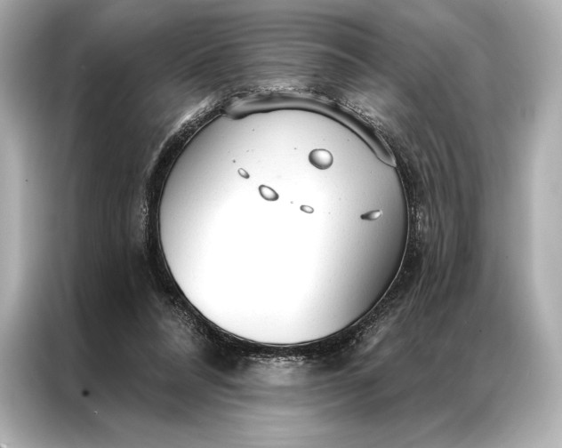 X0000086950304200704301223