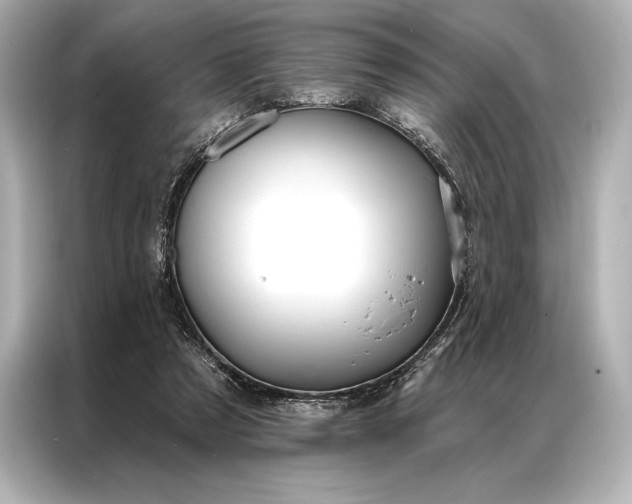 X0000086950305200704301223