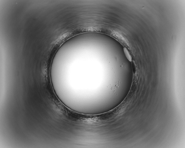 X0000086950306200704301223