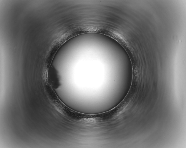 X0000086950307200704301223