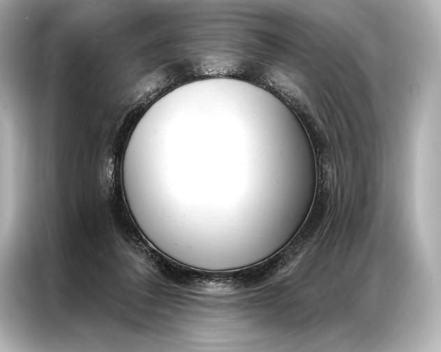 X0000086950308200704301223