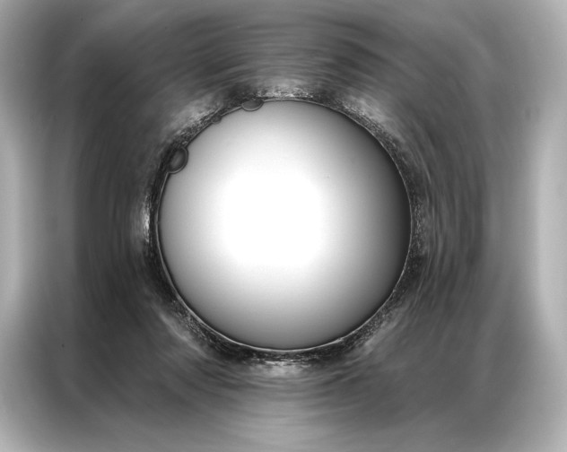 X0000086950310200704301223