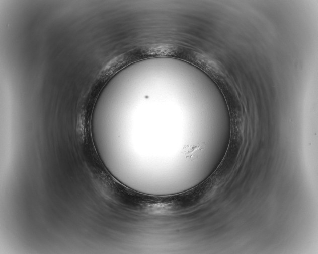 X0000086950312200704301223