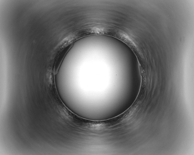 X0000086950313200704301223