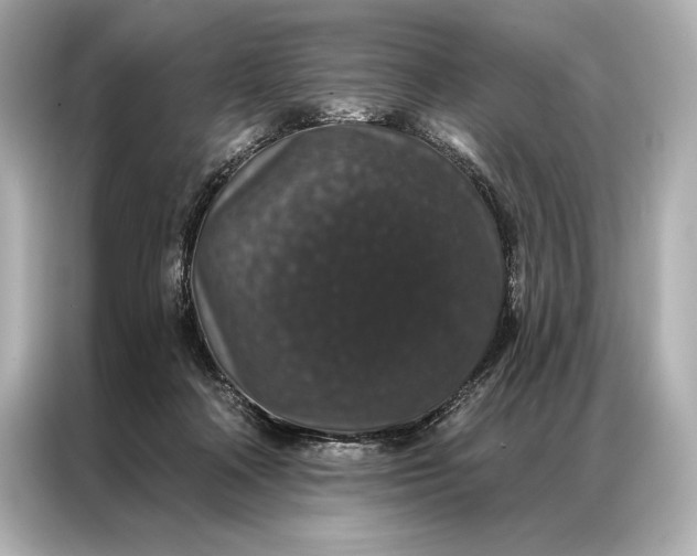 X0000086950314200704301223