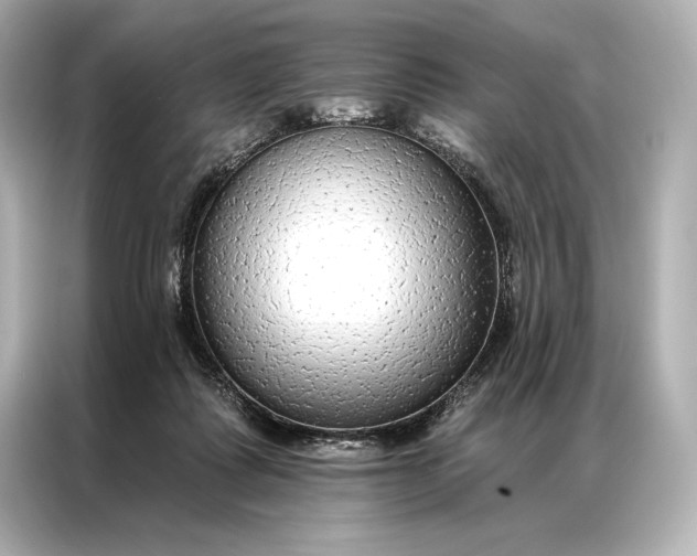 X0000086950315200704301223