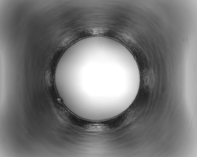 X0000086950316200704301223