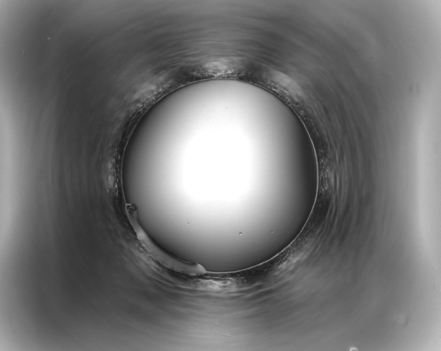 X0000086950317200704301223