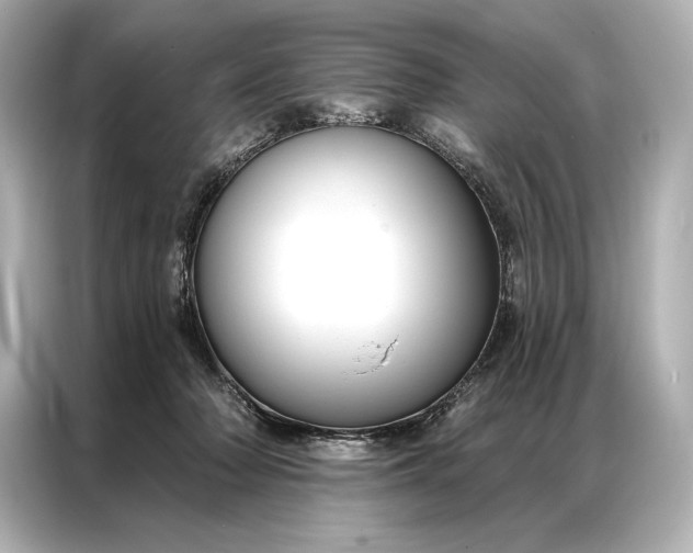 X0000086950318200704301223