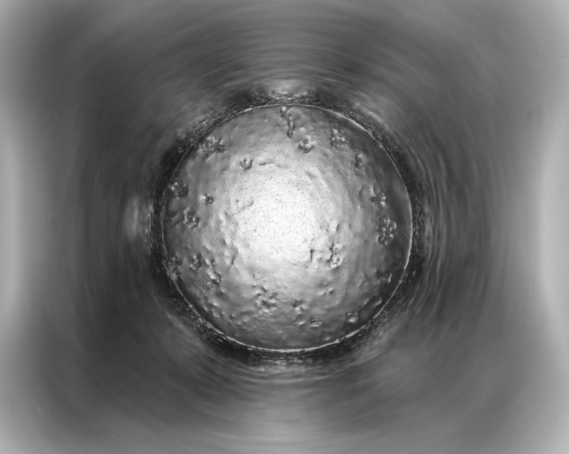 X0000086950319200704301223