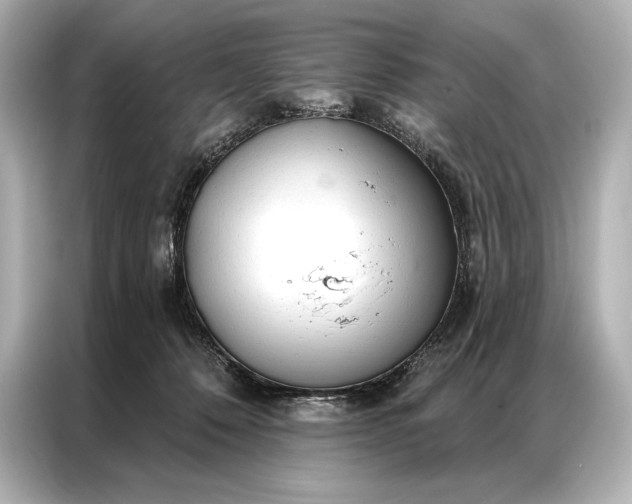 X0000086950320200704301223