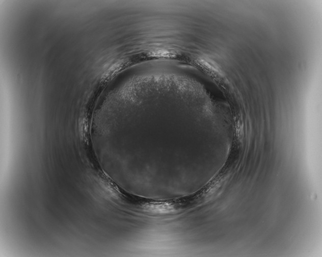 X0000086950322200704301223