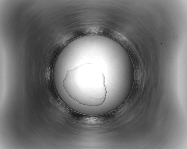 X0000086950326200704301223