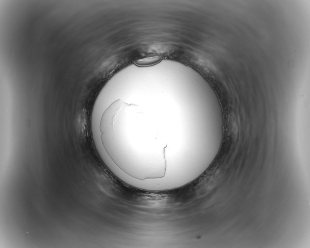 X0000086950328200704301223